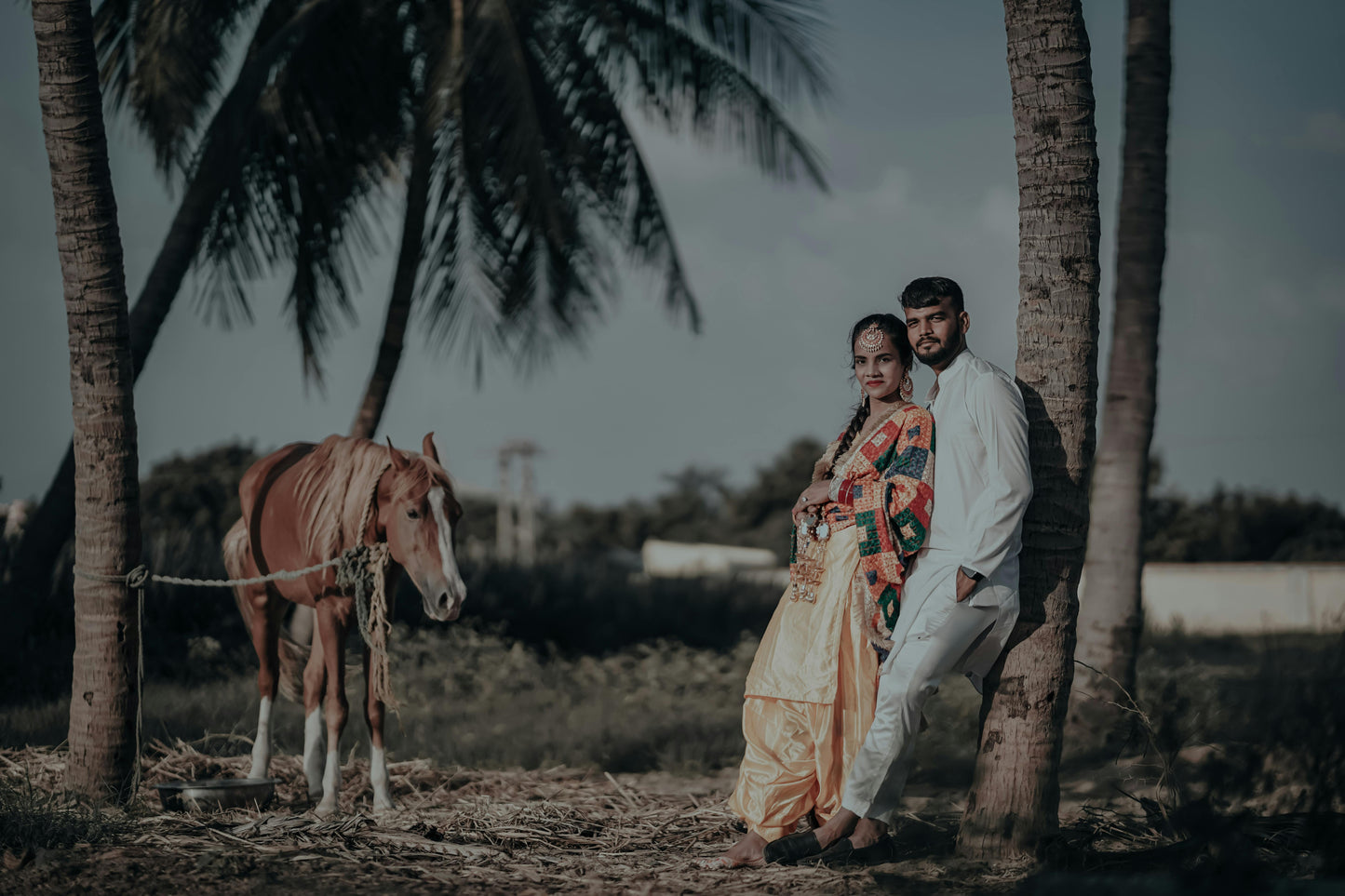 NOIRTONE TAJ PRESETS